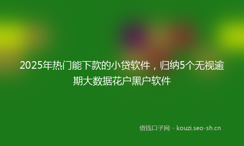 2025年热门能下款的小贷软件，归纳5个无视逾期大数据花户黑户软件