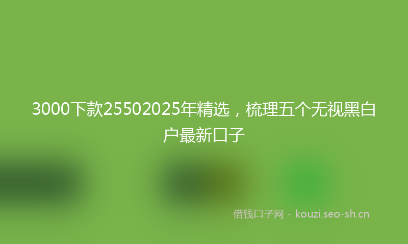 3000下款25502025年精选,梳理五个无视黑白户最新口子