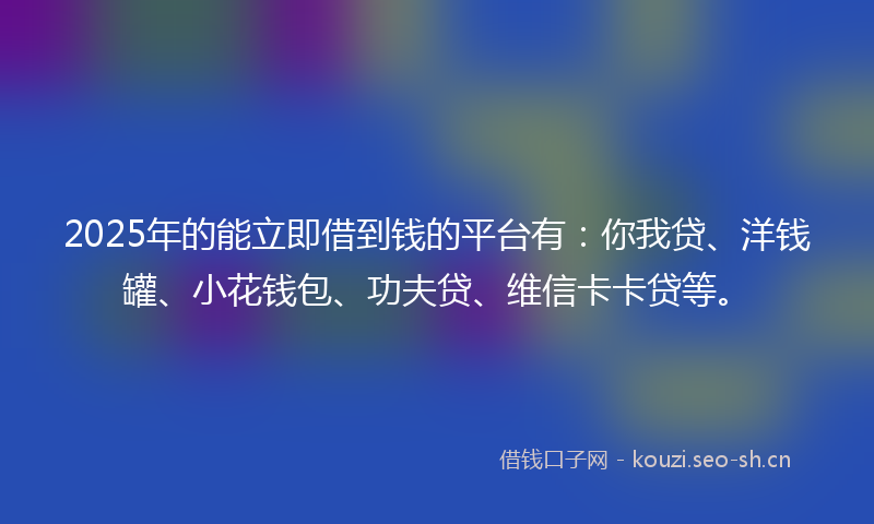 2025年的能立即借到钱的平台有：你我贷、洋钱罐、小花钱包、功夫贷、维信卡卡贷等。