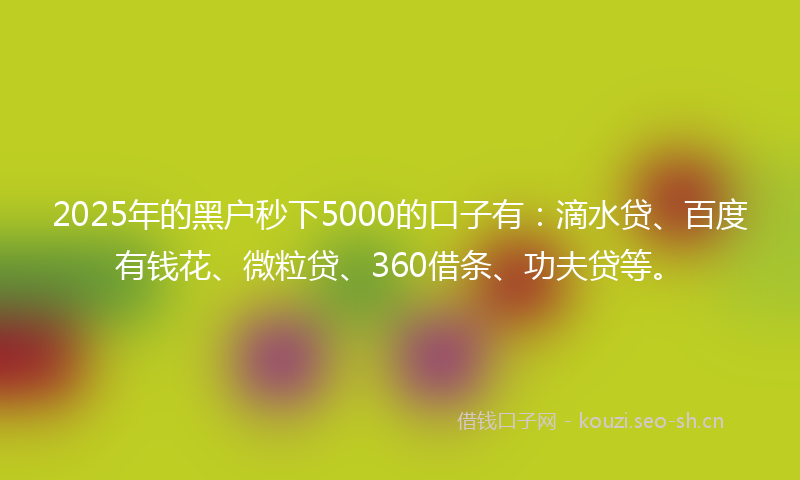 2025年的黑户秒下5000的口子有：滴水贷、百度有钱花、微粒贷、360借条、功夫贷等。