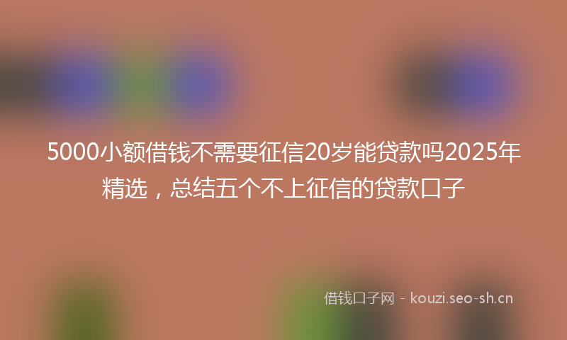 5000小额借钱不需要征信20岁能贷款吗2025年精选，总结五个不上征信的贷款口子
