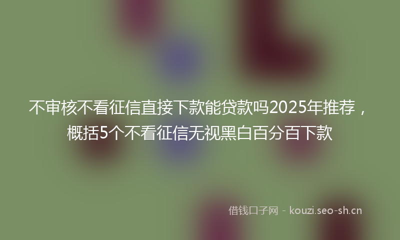 不审核不看征信直接下款能贷款吗2025年推荐,概括5个不看征信无视黑白百分百下款