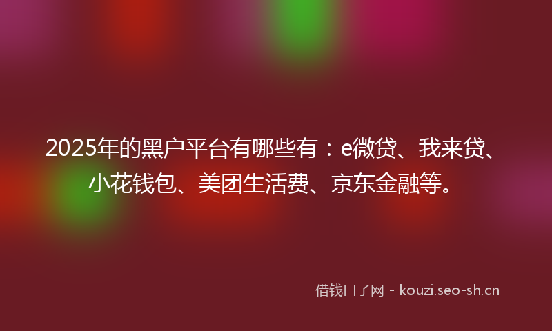 2025年的黑户平台有哪些有：e微贷、我来贷、小花钱包、美团生活费、京东金融等。