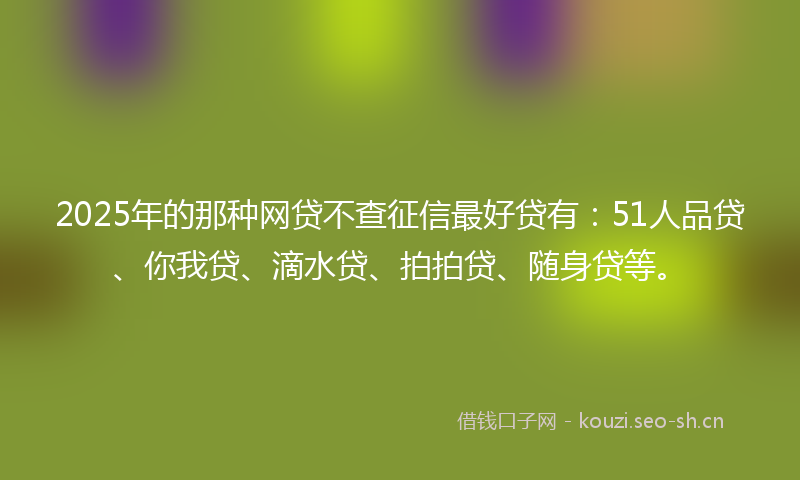 2025年的那种网贷不查征信最好贷有:51人品贷、你我贷、滴水贷、拍拍贷、随身贷等。