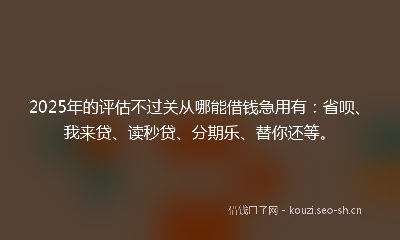 2025年的评估不过关从哪能借钱急用有：省呗、我来贷、读秒贷、分期乐、替你还等。