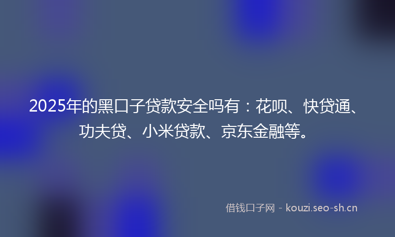 2025年的黑口子贷款安全吗有：花呗、快贷通、功夫贷、小米贷款、京东金融等。