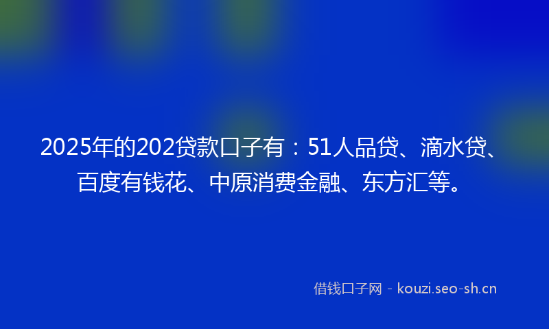 2025年的202贷款口子有：51人品贷、滴水贷、百度有钱花、中原消费金融、东方汇等。