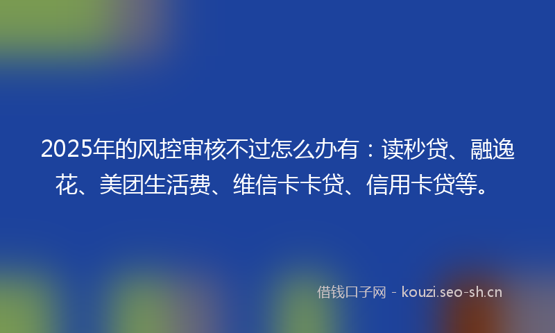 2025年的风控审核不过怎么办有：读秒贷、融逸花、美团生活费、维信卡卡贷、信用卡贷等。