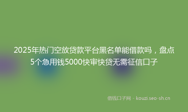 2025年热门空放贷款平台黑名单能借款吗，盘点5个急用钱5000快审快贷无需征信口子