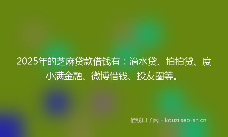 2025年的芝麻贷款借钱有：滴水贷、拍拍贷、度小满金融、微博借钱、投友圈等。