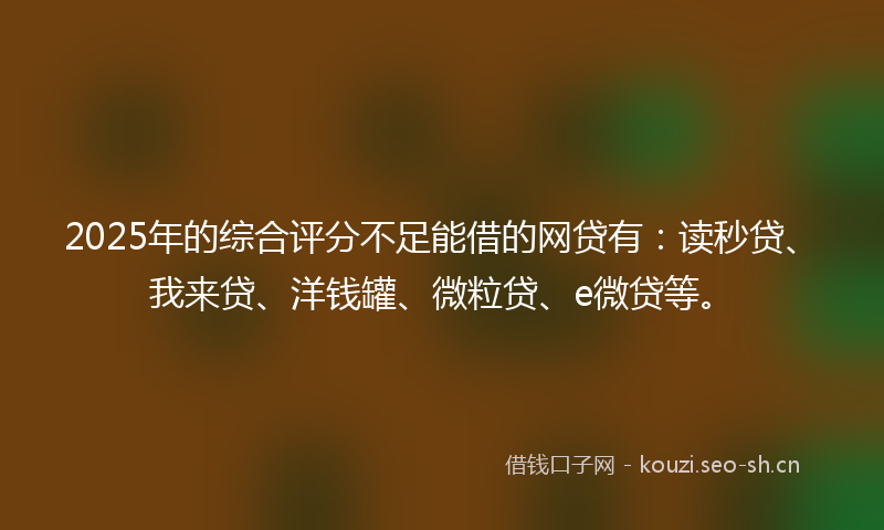2025年的综合评分不足能借的网贷有：读秒贷、我来贷、洋钱罐、微粒贷、e微贷等。