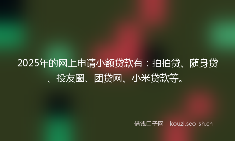 2025年的网上申请小额贷款有：拍拍贷、随身贷、投友圈、团贷网、小米贷款等。