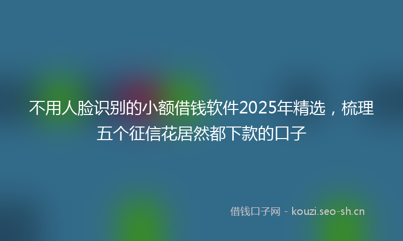 不用人脸识别的小额借钱软件2025年精选，梳理五个征信花居然都下款的口子