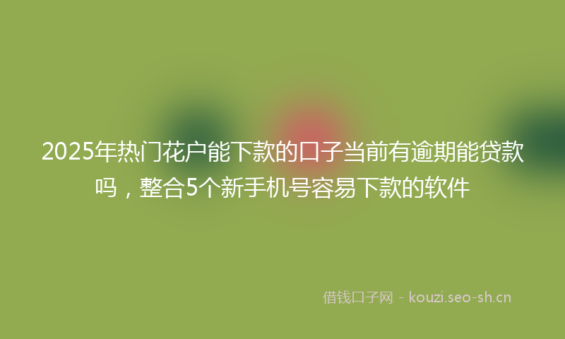 2025年热门花户能下款的口子当前有逾期能贷款吗，整合5个新手机号容易下款的软件