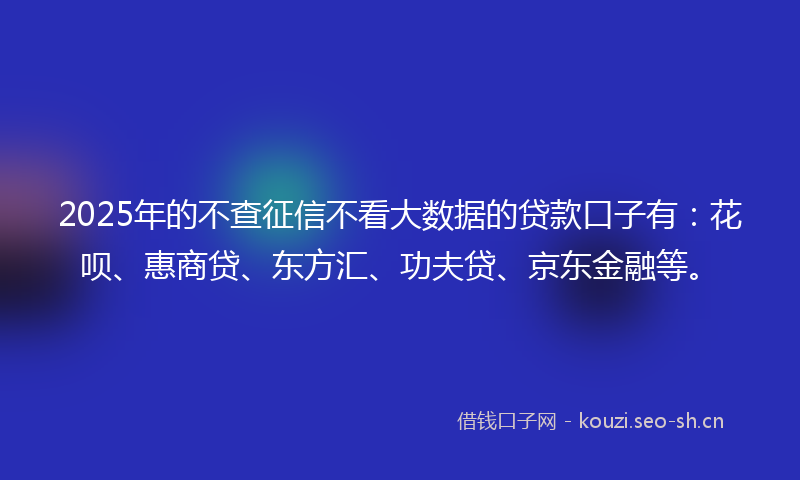 2025年的不查征信不看大数据的贷款口子有:花呗、惠商贷、东方汇、功夫贷、京东金融等。