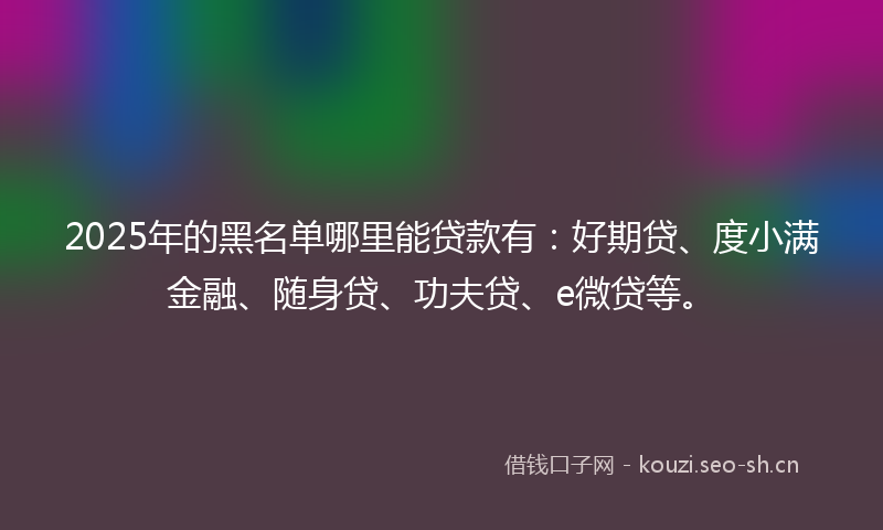2025年的黑名单哪里能贷款有：好期贷、度小满金融、随身贷、功夫贷、e微贷等。