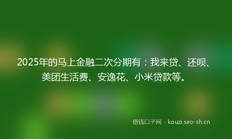 2025年的马上金融二次分期有：我来贷、还呗、美团生活费、安逸花、小米贷款等。