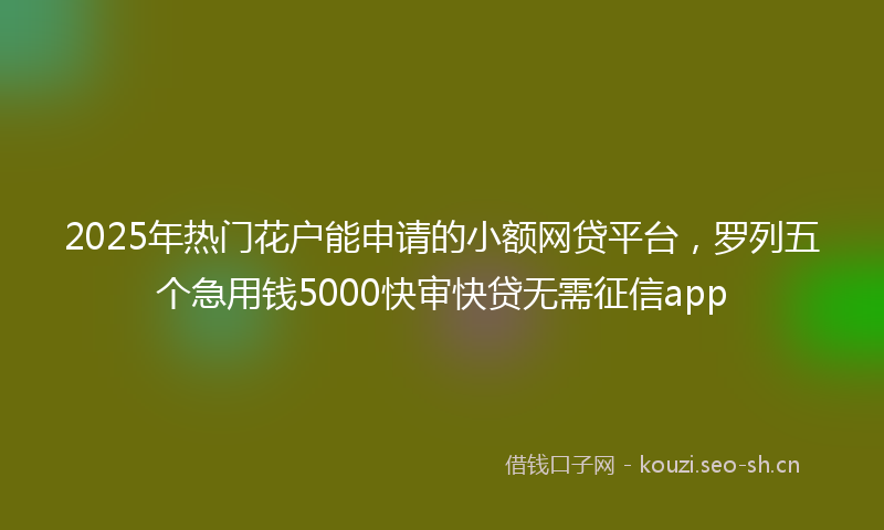 2025年热门花户能申请的小额网贷平台，罗列五个急用钱5000快审快贷无需征信app