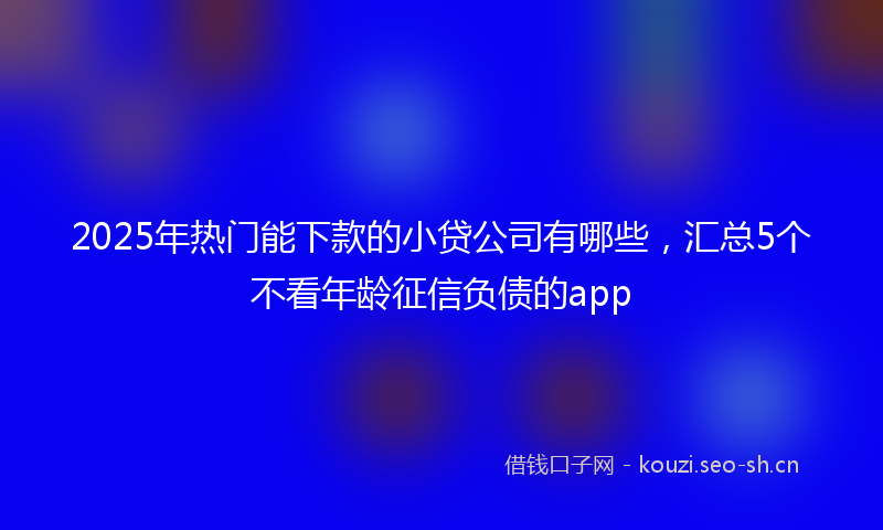 2025年热门能下款的小贷公司有哪些，汇总5个不看年龄征信负债的app