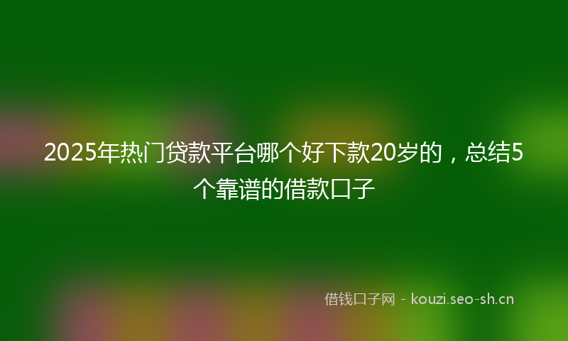 2025年热门贷款平台哪个好下款20岁的,总结5个靠谱的借款口子