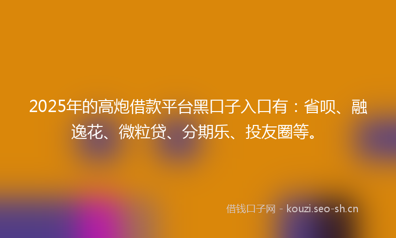 2025年的高炮借款平台黑口子入口有：省呗、融逸花、微粒贷、分期乐、投友圈等。