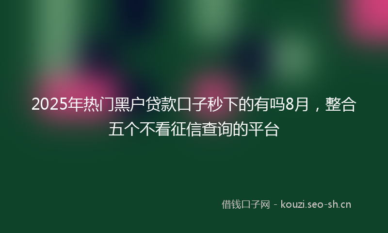 2025年热门黑户贷款口子秒下的有吗8月，整合五个不看征信查询的平台