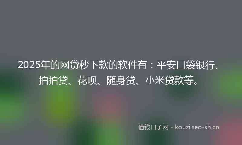 2025年的网贷秒下款的软件有：平安口袋银行、拍拍贷、花呗、随身贷、小米贷款等。