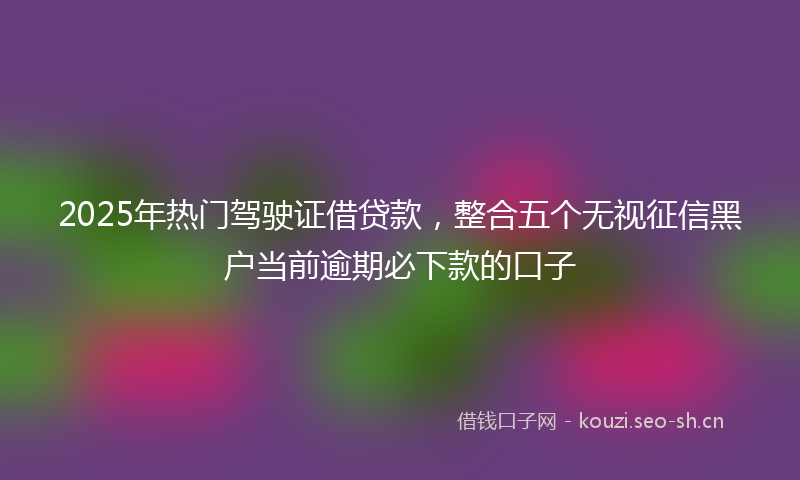2025年热门驾驶证借贷款，整合五个无视征信黑户当前逾期必下款的口子