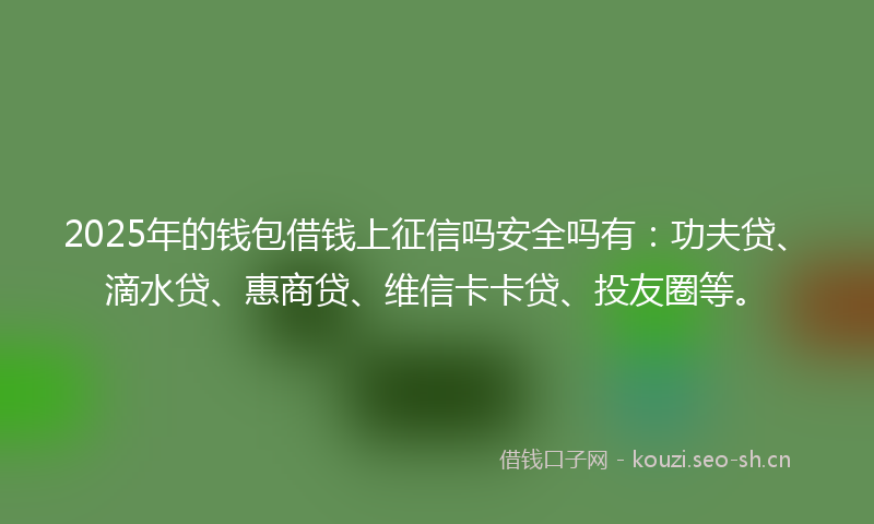 2025年的钱包借钱上征信吗安全吗有:功夫贷、滴水贷、惠商贷、维信卡卡贷、投友圈等。