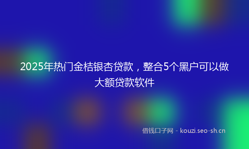 2025年热门金桔银杏贷款，整合5个黑户可以做大额贷款软件