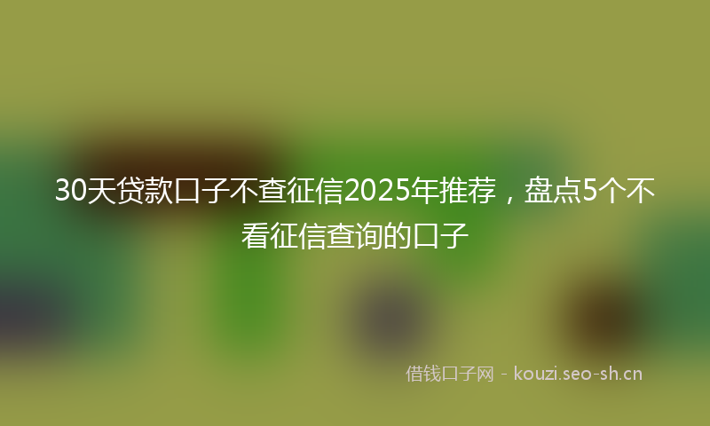30天贷款口子不查征信2025年推荐，盘点5个不看征信查询的口子