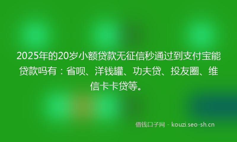 2025年的20岁小额贷款无征信秒通过到支付宝能贷款吗有：省呗、洋钱罐、功夫贷、投友圈、维信卡卡贷等。