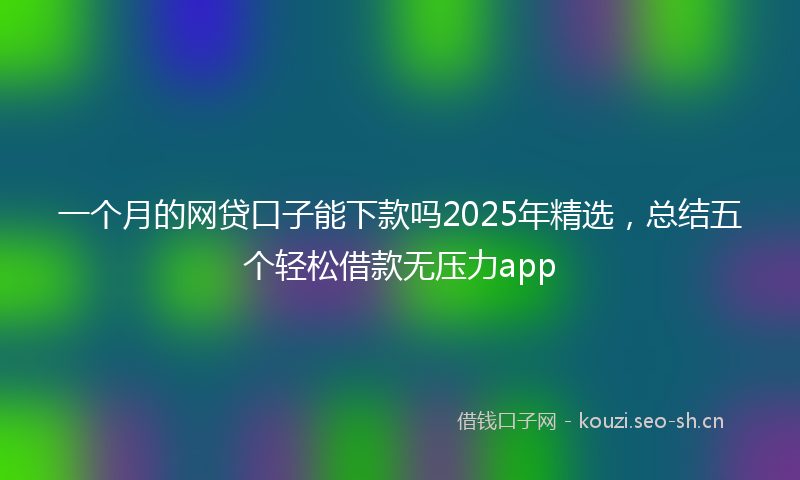 一个月的网贷口子能下款吗2025年精选，总结五个轻松借款无压力app