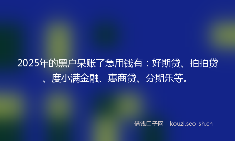 2025年的黑户呆账了急用钱有：好期贷、拍拍贷、度小满金融、惠商贷、分期乐等。