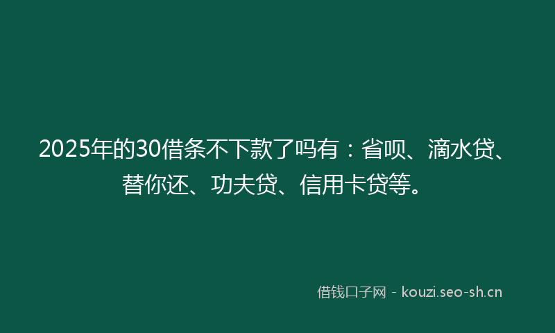 2025年的30借条不下款了吗有：省呗、滴水贷、替你还、功夫贷、信用卡贷等。