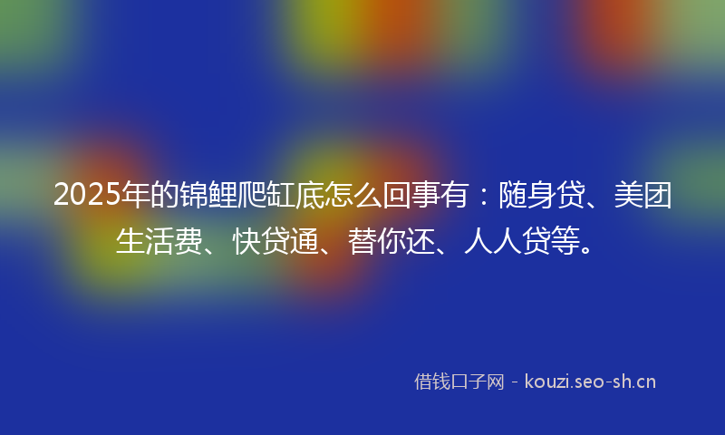 2025年的锦鲤爬缸底怎么回事有：随身贷、美团生活费、快贷通、替你还、人人贷等。