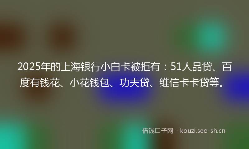 2025年的上海银行小白卡被拒有:51人品贷、百度有钱花、小花钱包、功夫贷、维信卡卡贷等。