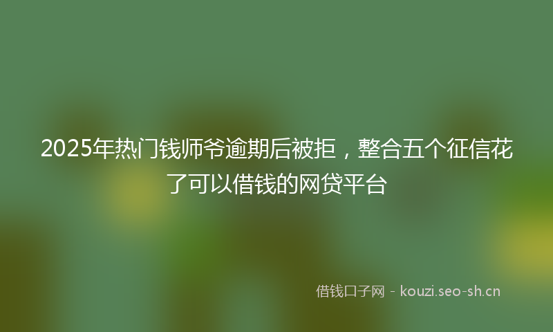 2025年热门钱师爷逾期后被拒，整合五个征信花了可以借钱的网贷平台
