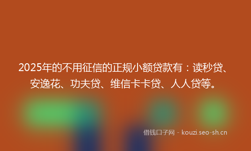 2025年的不用征信的正规小额贷款有：读秒贷、安逸花、功夫贷、维信卡卡贷、人人贷等。