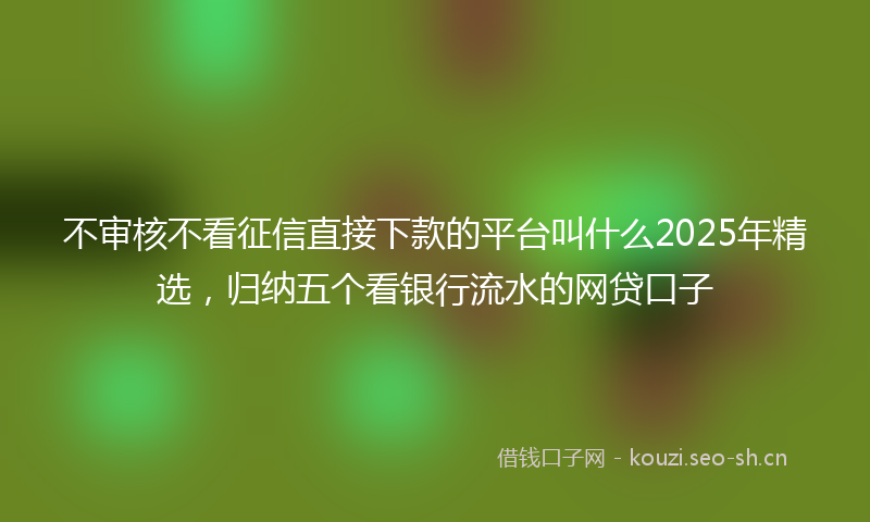 不审核不看征信直接下款的平台叫什么2025年精选，归纳五个看银行流水的网贷口子