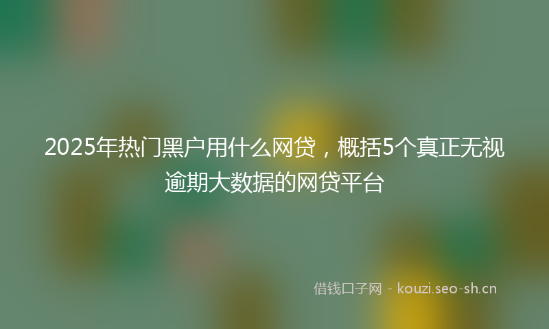 2025年热门黑户用什么网贷，概括5个真正无视逾期大数据的网贷平台
