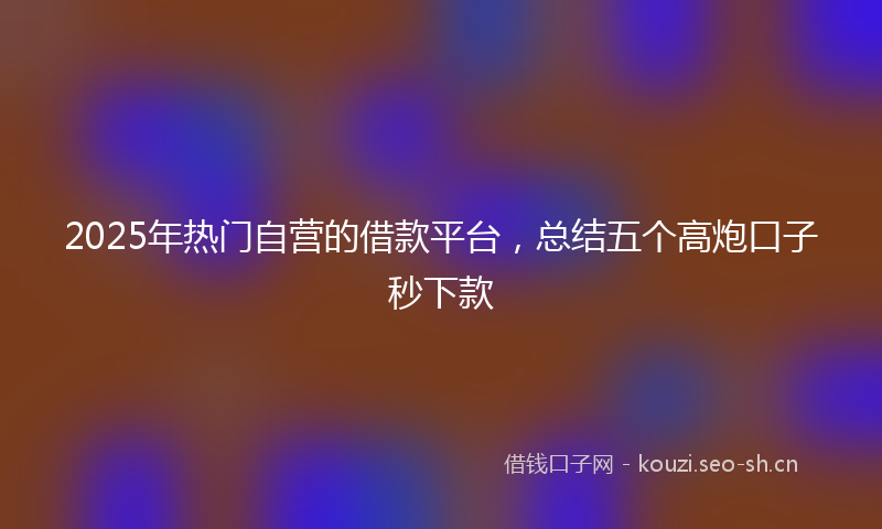 2025年热门自营的借款平台，总结五个高炮口子秒下款