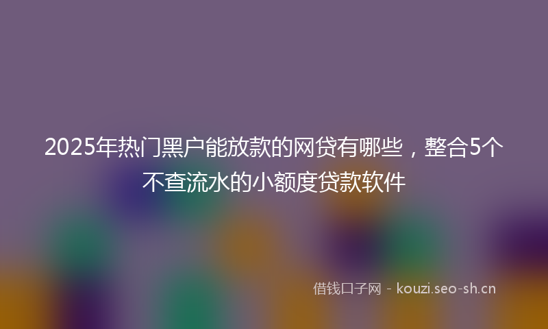 2025年热门黑户能放款的网贷有哪些，整合5个不查流水的小额度贷款软件
