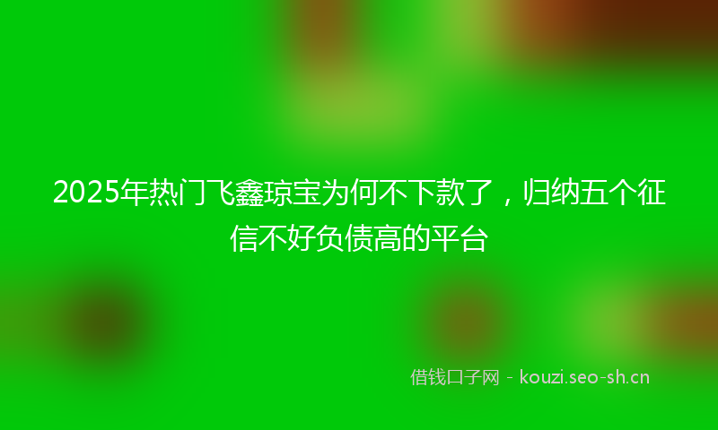 2025年热门飞鑫琼宝为何不下款了，归纳五个征信不好负债高的平台