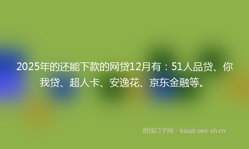 2025年的还能下款的网贷12月有：51人品贷、你我贷、超人卡、安逸花、京东金融等。