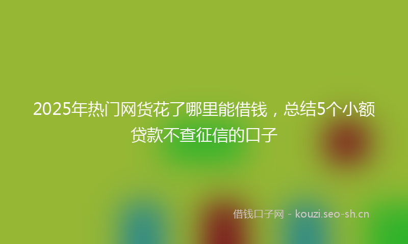 2025年热门网货花了哪里能借钱，总结5个小额贷款不查征信的口子