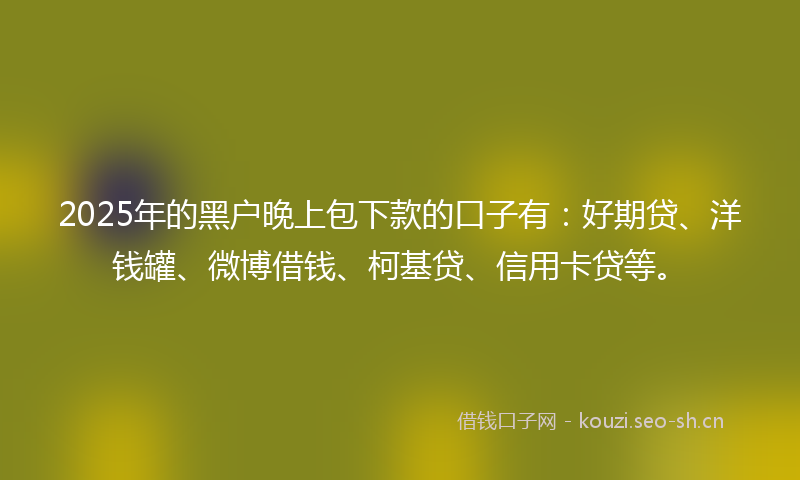 2025年的黑户晚上包下款的口子有：好期贷、洋钱罐、微博借钱、柯基贷、信用卡贷等。