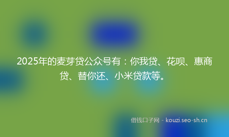 2025年的麦芽贷公众号有:你我贷、花呗、惠商贷、替你还、小米贷款等。
