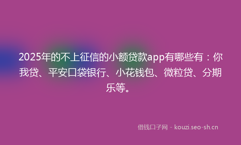 2025年的不上征信的小额贷款app有哪些有：你我贷、平安口袋银行、小花钱包、微粒贷、分期乐等。
