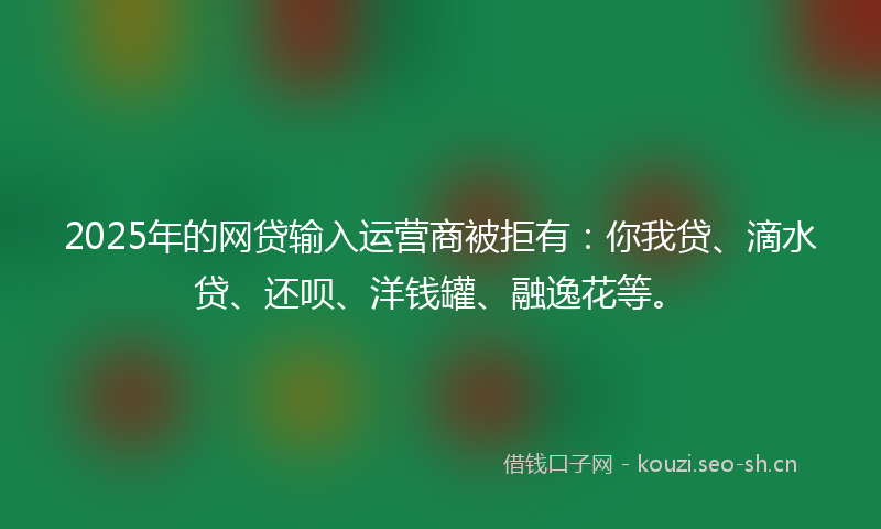 2025年的网贷输入运营商被拒有：你我贷、滴水贷、还呗、洋钱罐、融逸花等。